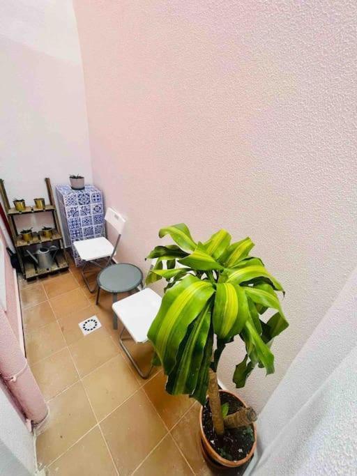 Appartement Graca *